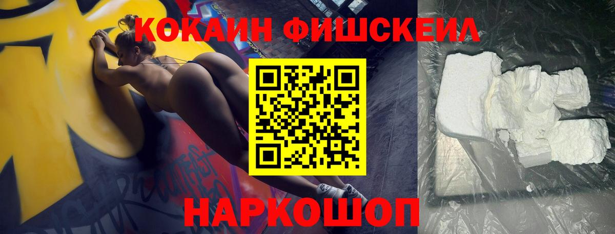 COCAIN 99%  купить закладку  Заводоуковск  Вход с VPN  Кокаин FishScale 