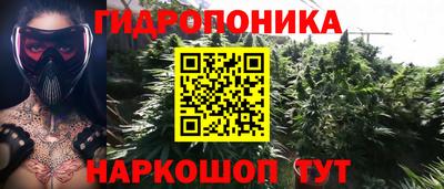 СК Кунгур