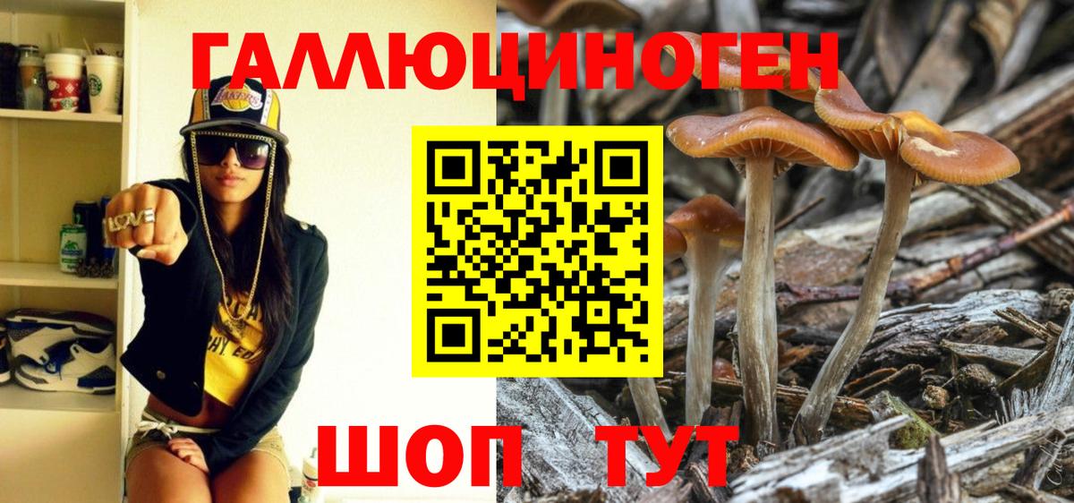 закладка  Псилоцибиновые грибы Psilocybine cubensis  Заводоуковск  Вход с VPN  Галлюциногенные грибы мицелий 