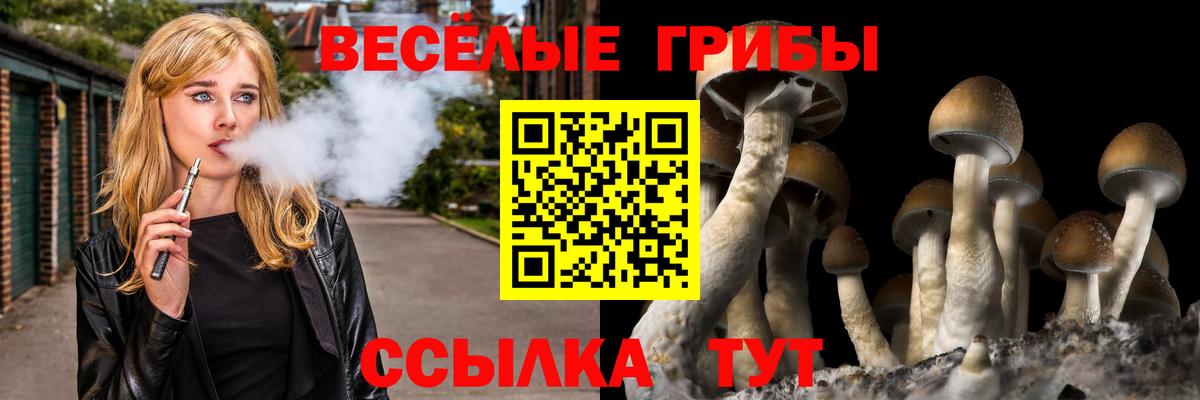 Галлюциногенные грибы MAGIC MUSHROOMS Заводоуковск